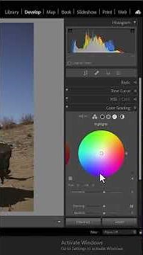 How To Color Grade Photos In Light Room Classic portrait