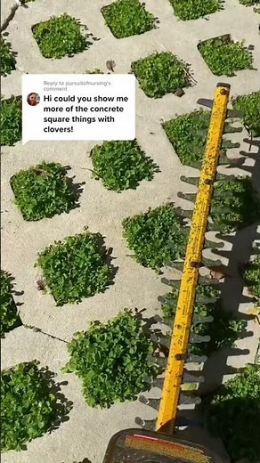 Turfstone Pavers in our #CloverLawn ❤️ #clover #landscape #pavers #backyard #renovation