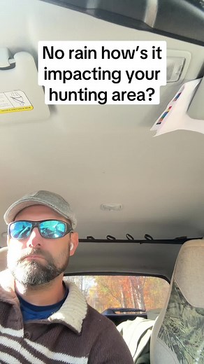 Deer Movement Insights and Hunting Strategies