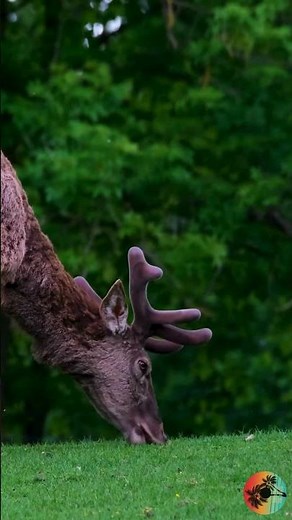 The Golden Rule: (Matthew 7:12 KJV)