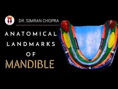 Anatomical Landmarks Of Mandible l Mandibular Landmarks l Prosthodontics