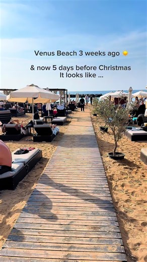 Transformative Changes at Venus Beach in 3 Weeks