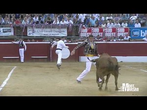 Concours landais 2017