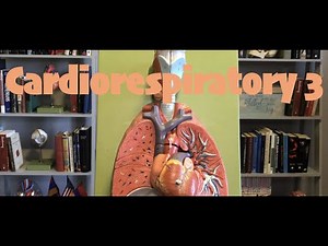 Cardiorespiratory 3