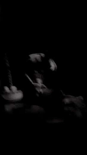 The Simpsons sideshow Bob ￼￼ ￼ universal Studios Hollywood ￼￼￼