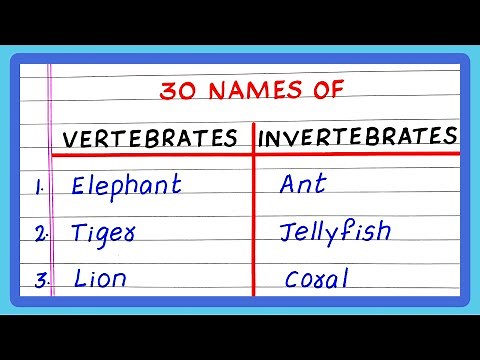 EXAMPLES OF VERTEBRATES AND INVERTEBRATES | 10 | 20 | 30 EXAMPLES OF VERTEBRATES AND INVERTEBRATES