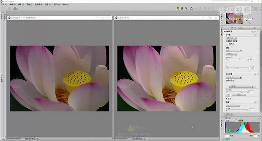 15、尼康Capture NX2 修图软件：优化校准以及与前期拍摄的关系
