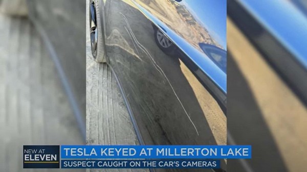 Teslas Are Still Being Keyed: Culprits Not Realizing Cameras