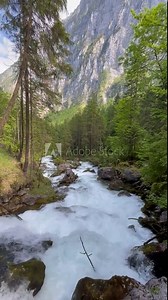 Vertical screen: A pristine mountain stream flows rapidly through a lush forest, surrounded by moss-covered rocks and towering trees. The crystal-clear water creates a serene and refreshing natural sc