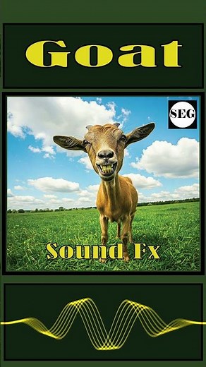 Goat Sound Fx