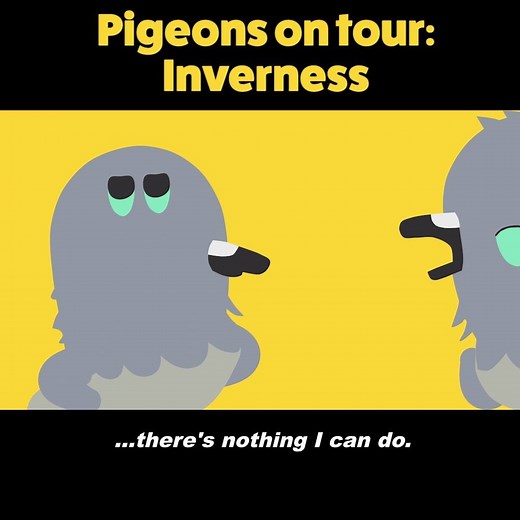 113K views · 677 reactions | The pigeons' musical tour of Scotland begins in...Inverness! | BBC Scotland | Facebook