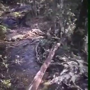 3.9K views · 23 reactions | Check out our sneaky overnighter! D'Augilar Range up to Sandy Creek #theexplorelife | The Explore Life | Facebook