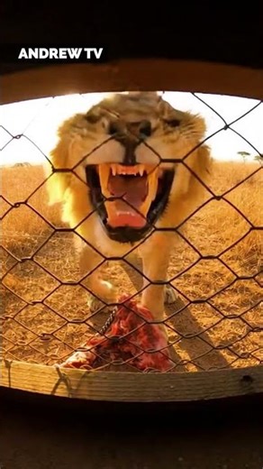 Secret camera films everything