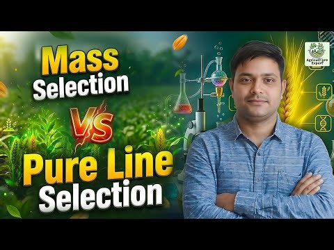 Mass Selection vs Pure Line Selection | Plant Breeding by Ashwani Sir
