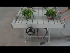 Ebb and Flow Rolling Bench for Hydroponic systems
