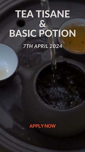 Tea, Tisane and Basic Potion (For English Please Scroll Down) . ชา, สมุนไพร, และการปรุงโพชั่นขั้นพื้นฐาน เวทย์มนต์เกิดขึ้นได้ห้องห้องครัว มาเรียนรู้การใช้ชาให้มีผลทางเวทย์มนต์กับผู้ฝึกเวทตัวจริง เจ้าของคาเฟ่แม่มดชื่อดัง Ace of Cups : The Witch Café ที่มีประสบการณ์ทางด้านเวทต์มนต์มาหลายปี . 🍵ความเข้าใจเรื่องชา และสมุนไพร 🍵ความเข้าใจ และหลักการพื้นฐานในการชงชา และสมุนไพรแต่ละตัว 🍵หลักการพื้นฐานในการปรุงโพชั่น เพื่อให้สอดคล้องกับเป้าหมายทางเวทมนต์ . พบกันวันที่ 7 เมษายน 2567 เวลา 13.00 - 16.00 น