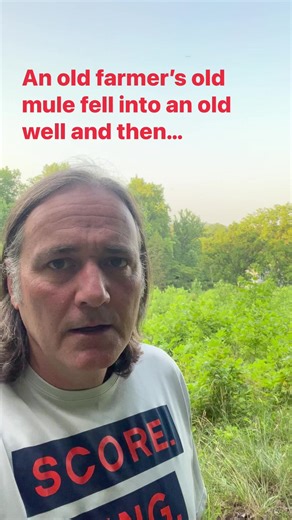 47K views · 1.7K reactions | An old farmer’s old mule fell into an old well and then… #reels #joke #jokes | Sick Twisted Humor | Facebook