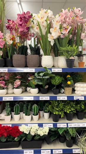 Creative Action Decoration Ideas for Your Home