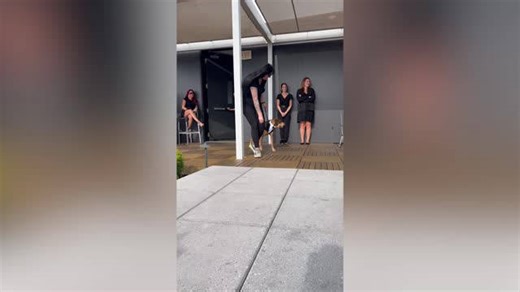 Bride Surprises Groom With Dog In Tux After Family Couldn't Attend Wedding