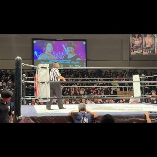 【#ddt 】EXTREAM選手権のはちゃめちゃなルールの説明 #ヤスウラノ #to-y #ddtpro 【#プロレス】