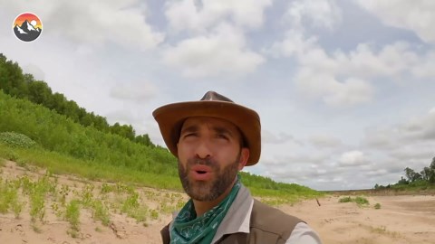 Cicada killer captured: The sting strikes again