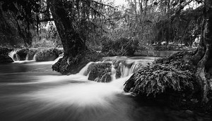 Get your B&W conversions perfect 🥳 Download my FREE Silver 4 sampler for LR and C1 at... seimeffects.com/silver. I used a decade of refinement to create Silver 4 and make darkroom-like conversions easy 😏 | Seim