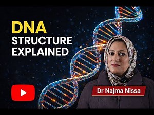 DNA Structure Explained | Class 12 Biology | NEET & Boards