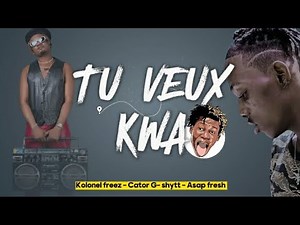 TU VEUX KWA - KOLONEL FREEZ - ASAP FRESH - CATOR G - SHYTT / LYRICS