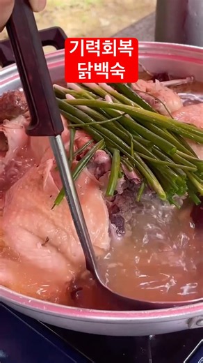 닭백숙먹저:) #닭백숙 #남한산성 #향나무집 #뭐먹지 #메뉴추천 #kfood #한국의맛