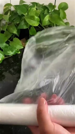 Um Beijo Inesperado na Festa: A História de uma Amante