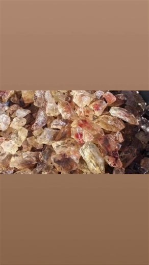 On a rockhound recommendation, we got the bug to take this trip north into Oregon straight up hwy 395 from our house a few hours….for what? SUNSTONES! Try your luck in the public dig area! The Oregon Sunstone Public Collection Area allows visitors to enjoy collecting these rare and beautiful gems in their natural setting. Located in the remote Rabbit Basin, the Oregon Sunstone Public Collection Area is in the high desert habitat of sagebrush and open spaces of south-central Oregon. Sunstones are