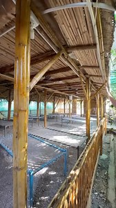 99K views · 1.2K reactions | Trendy Food Ahmedabad on Reels | Facebook