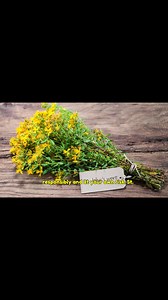 5.1K views | 30 Surprising Benefits of Hypericum perforatum (St. John’s Wort) and How to Use It at Home Part 17 | ONE7 | Facebook