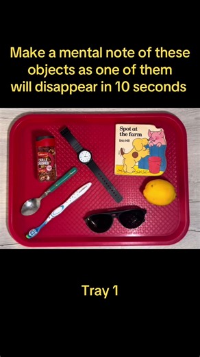 What’s gone this time from the memory trays? #strategy #memory #braingames #dyslexia