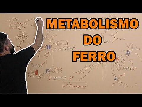 Metabolismo do ferro