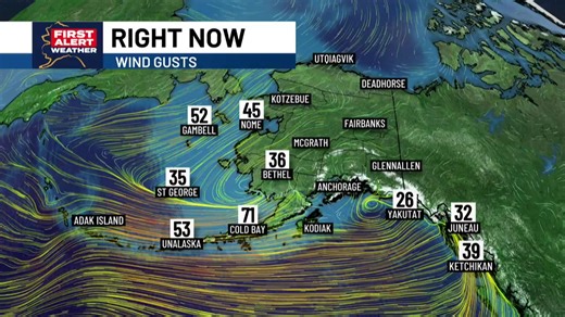 Meteorologist Aaron Morrison details the week ahead and the ongoing winter storm for Alaska. The current storm is bringing blizzard conditions, high surf, high winds and heavy snow to Southern Alaska. | Alaska's News Source