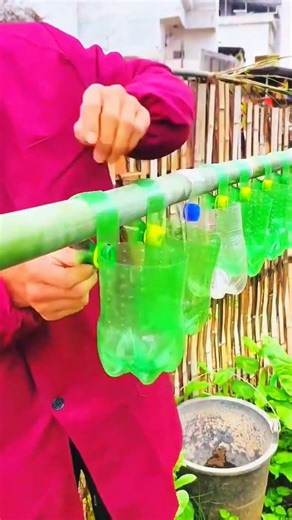 Bottles join bamboo, planters emerge