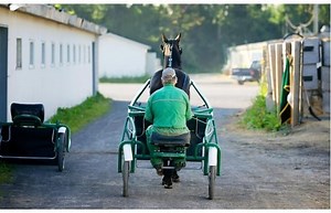 Pension plan payout wraps up Quebec horsemen’s association