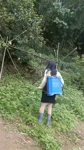 2.6K views · 17 reactions | Natural pest control | Garden and Lifehacks V1 | Facebook