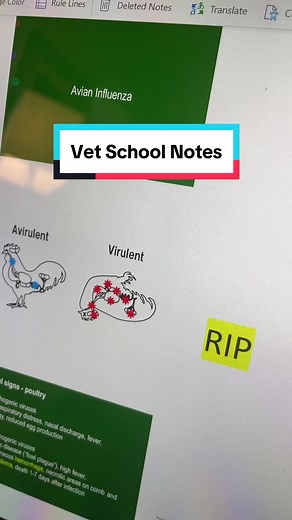 And this is why I wasn't the volunteer student note-taker in veterinary school✨ #vetmed #veterinary #vetclinic #vetschool #vetstudent #veterinarymedicine #vettok #vettech #vettechschool #vetnurse #veterinariansoftiktok #veterinario #notes #college #notetaking #notetakingtips
