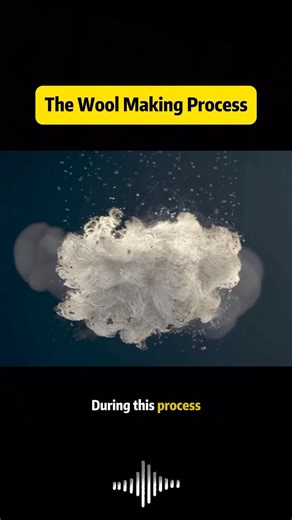 The wool Making Process #usa #knowledge #science #foryou #youtube