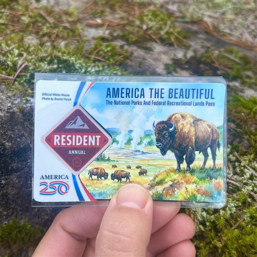 National Park Pass Sleeve- America the Beautiful Sticker, Wildlife Art Sticker Cover - Etsy
