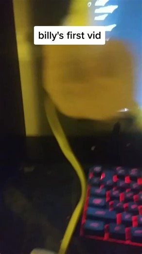 MEET BILLY THE COOL CIRCLE