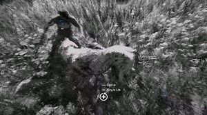 "Did I ever tell you what the definition of insanity is? Insanity is doing the exact... same fu**ing thing... over and over again expecting... sh*t to change... That. Is. Crazy." - Vaas Montenegro