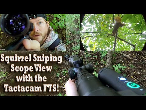 22 LR Scope View Squirrel Sniping! Tactacam FTS, Savage A22 & Hawke Optics Early Season Hunting Tips