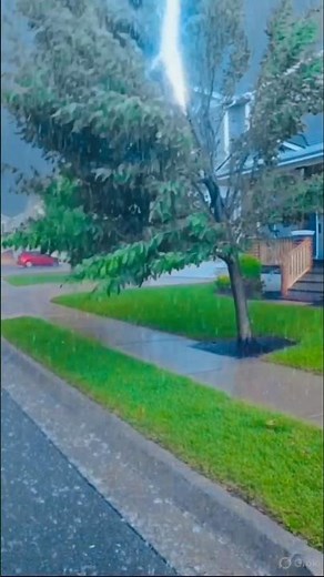Lightning Strikes Tree During Violent Storm ⚡🌧️ | Extreme Rain & Wind #shorts