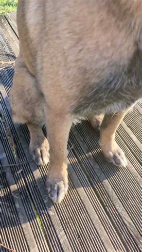 check my link♥️new content loading🤷🏼