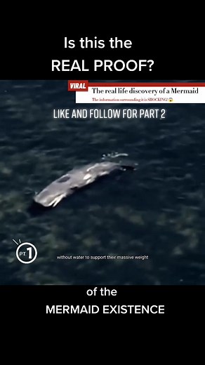 Mermaid Discovery: Shocking Real-Life Evidence Revealed