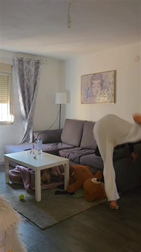 Duración de los vlogs: Largo o Corto