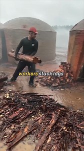 Traditional Charcoal Making in Brazil | Shee.actress